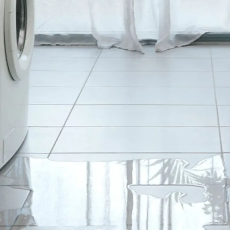 Appliance Leak Cleanup in Spirit Lake, ID