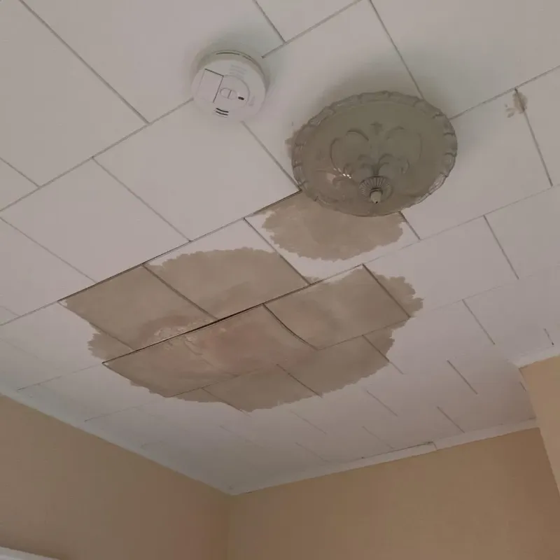 Ceiling Water Damage Repair in Spirit Lake, ID