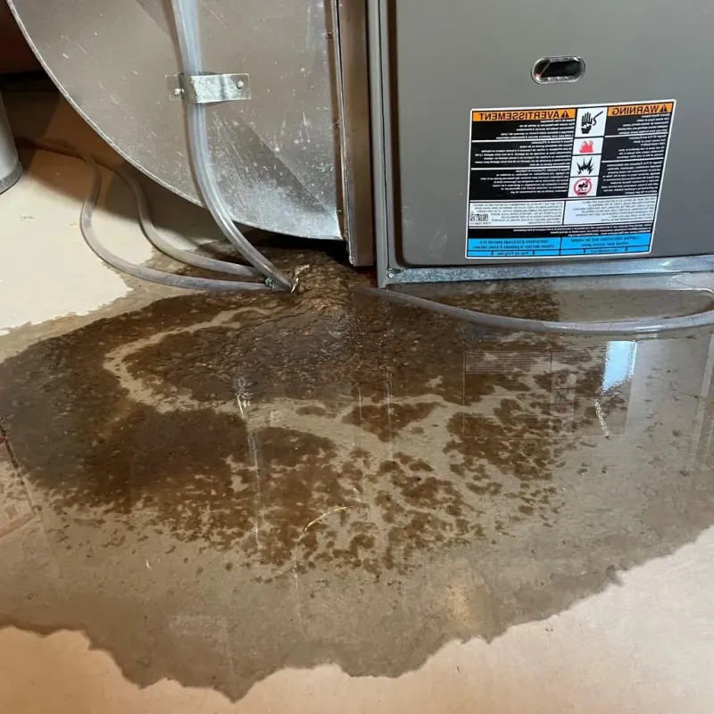 Pipe Burst and Leak Restoration in Spirit Lake, ID